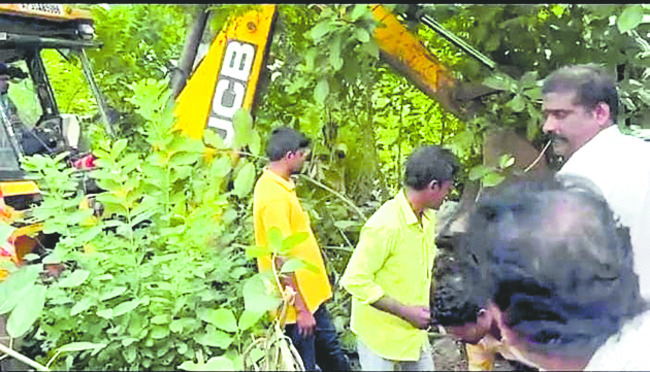 సెప్టిక్ ట్యాంక్లో ఆవు నరకయాతన 1