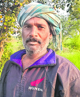 తెల్లబంగారం మెరిసేనా! 1