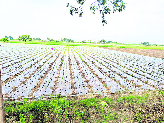 రెండేళ్లుగా నష్టాలే..!1