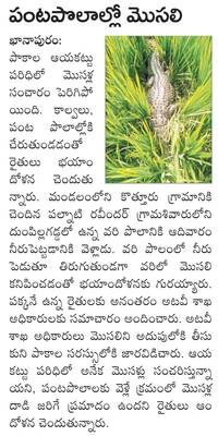 కారాఘోరం!1