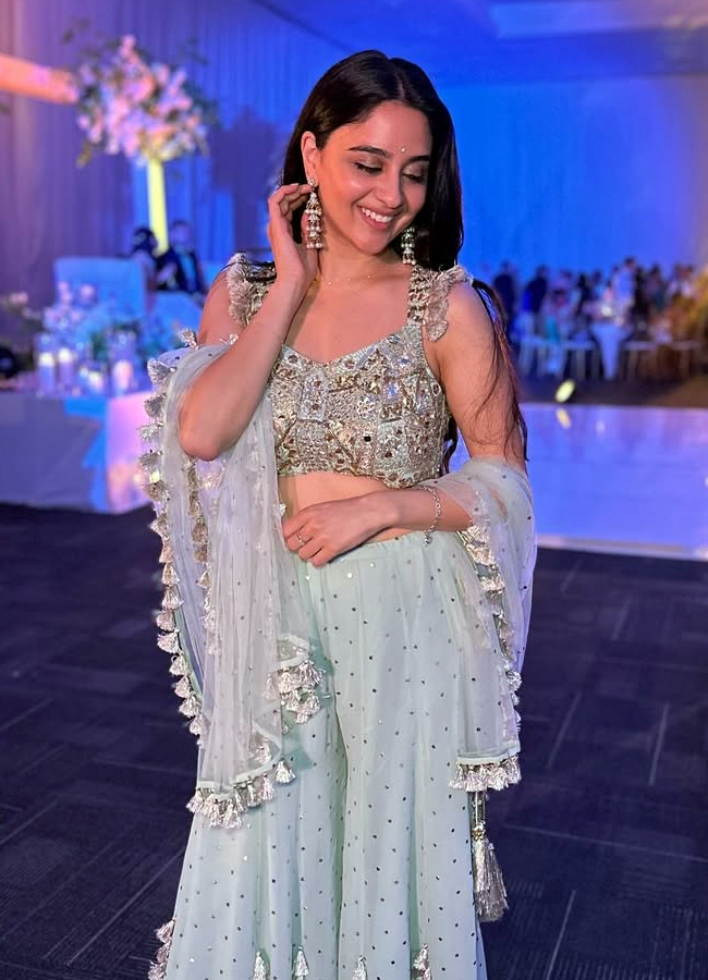 Prabhas' 'Fauji' lead actress Imanvi's birthday special photos15