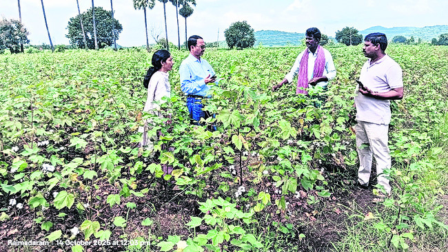 జిల్లాలో వికసిత్ భారత్ పాదయాత్ర
1