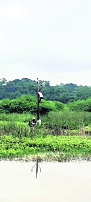 108 వాహనంలో ప్రసవం 1