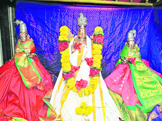 అనంతుని పవిత్రోత్సవాలకు ఏర్పాట్లు 1