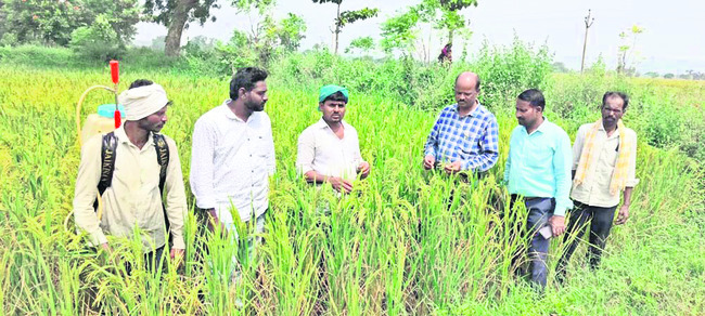 రాష్ట్రస్థాయి వాలీబాల్  పోటీలకు జిల్లా జట్టు ఎంపిక 3