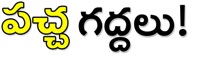 పేదల ఆస్పత్రిపై1