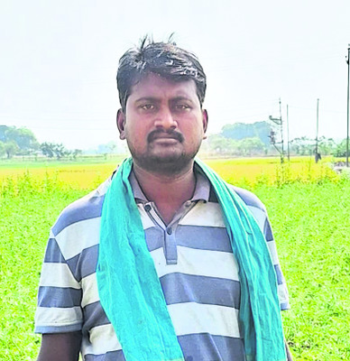 ఎర్రజొన్నకు బదులు మొక్కజొన్న 1