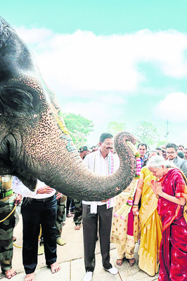 విరుపాక్షుని సన్నిధిలో నిర్మలమ్మ3