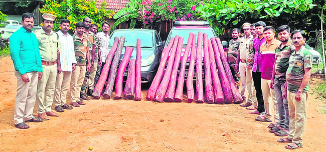 పేటశ్రీకి సాహితీ పురస్కారం 1