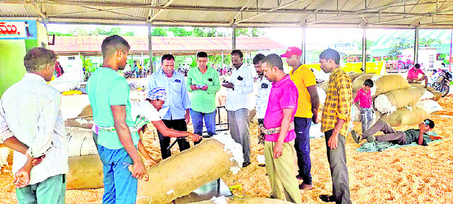 కలిసిరాని సాగు1