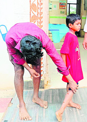 క్షేత్రంలో కుక్కల స్వైరవిహారం3