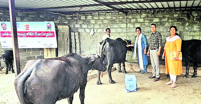 అడ్డా!1