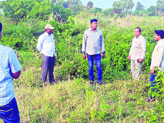 యూకే స్కాలర్షిప్కు అనూష ఎంపిక 1