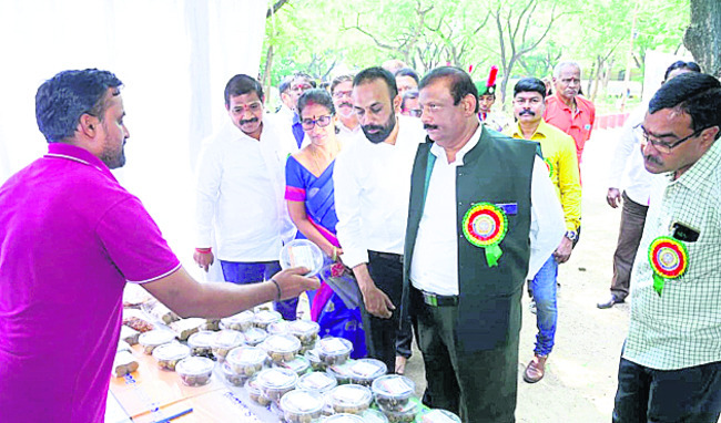 అలరించిన ఫేరియా ఫియెస్టా
1