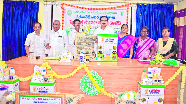 వైభవంగా పల్లకీ సేవ 1