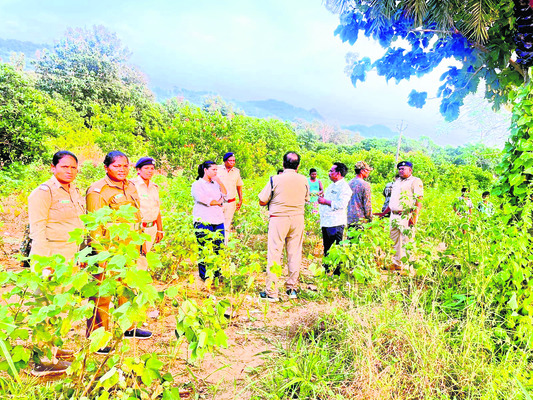 గౌరిగుడలో ఏనుగుల తిష్ట 1