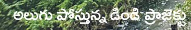 ఆశలు నింపిన డిండి1