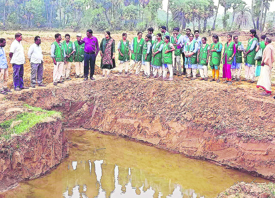 పంట మార్పిడితో మేలైన దిగుబడి 1