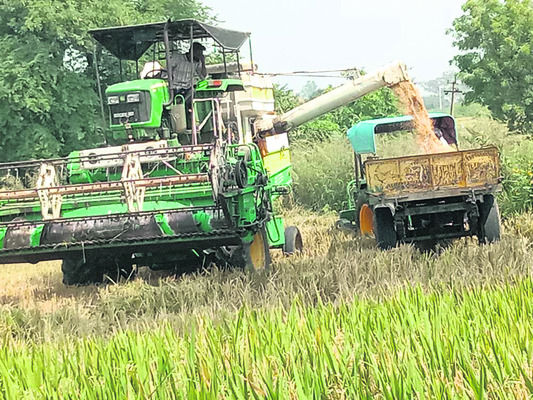 కాంటాలు, గన్నీ బ్యాగులు లేవు1