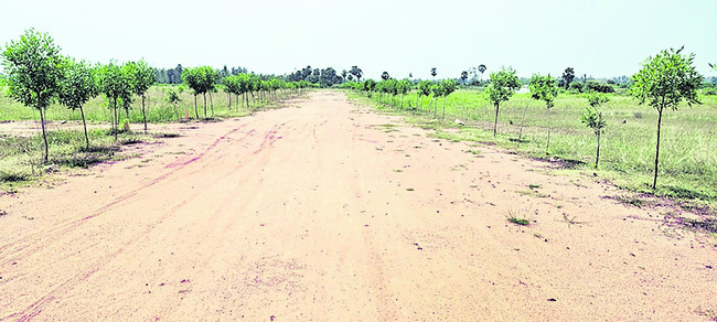 ‘రియల్’గా మోసం..!1
