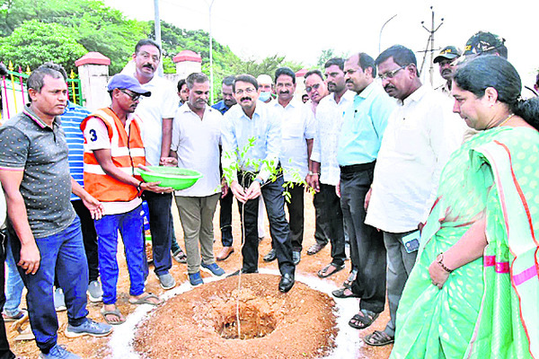 మొక్కల పెంపకంతో ఆరోగ్యం 1