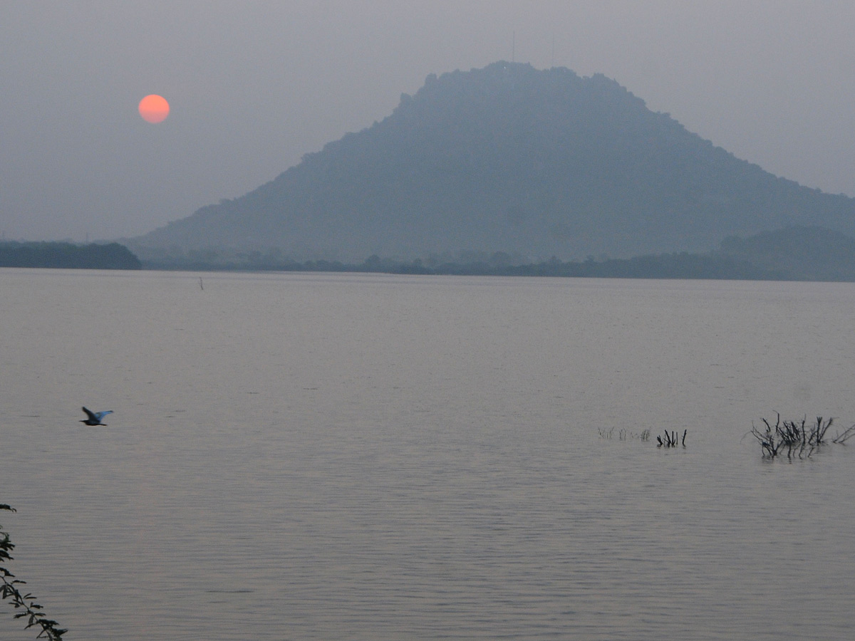 Best Photos of The Week in AP and Telangana Photo Gallery2