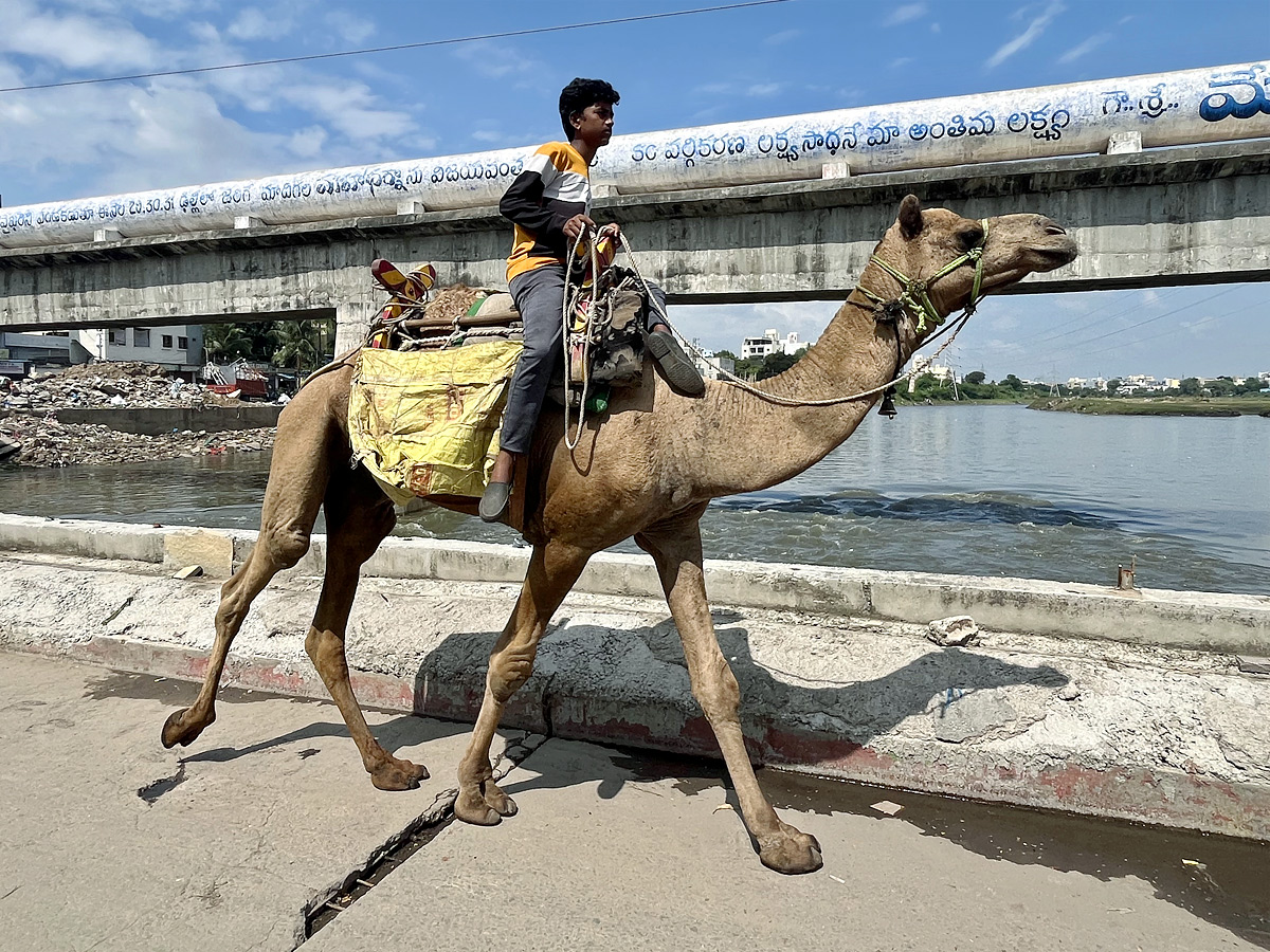 Best Photos of The Week in AP and Telangana Photo Gallery15