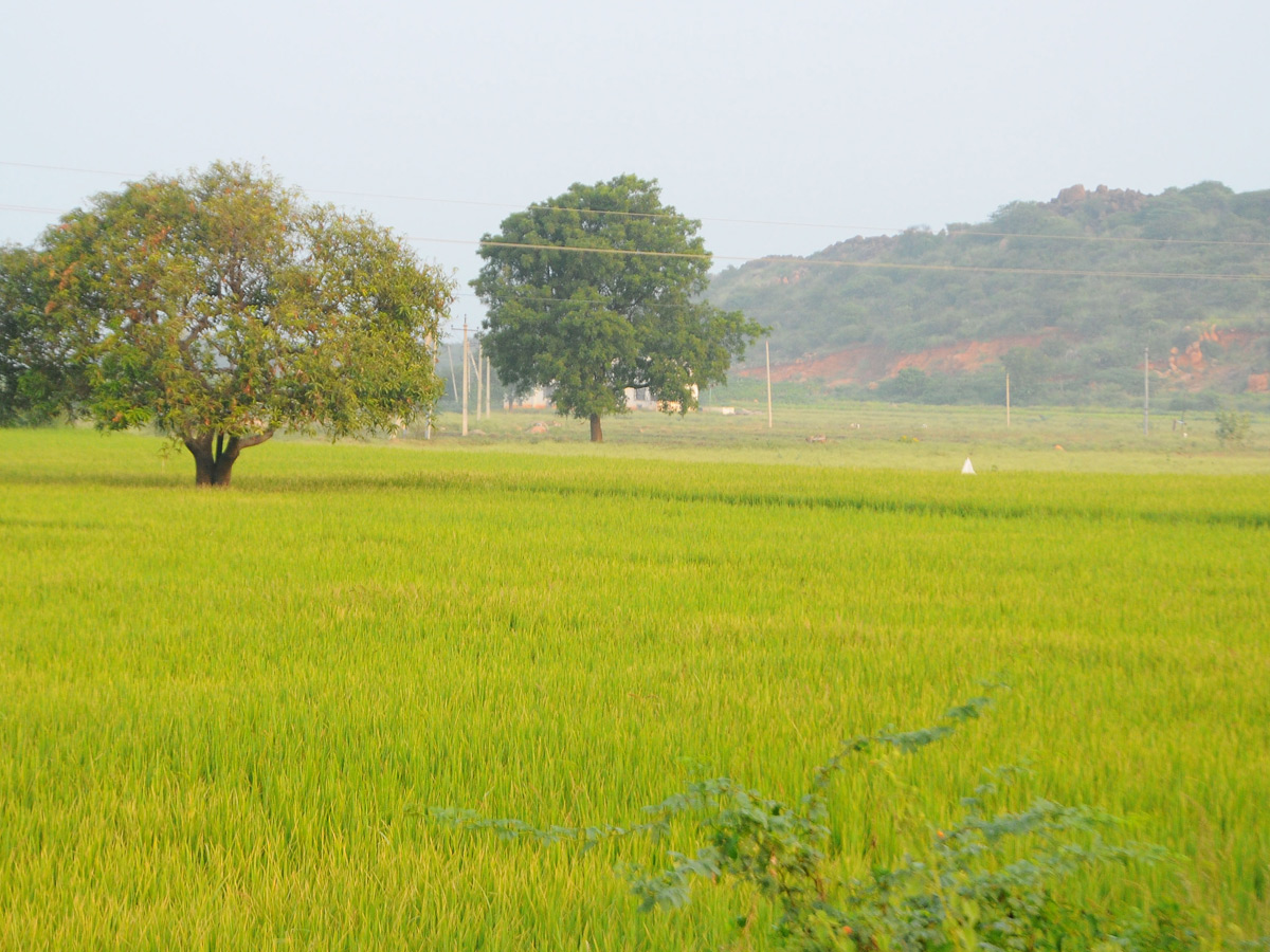 Best Photos of The Week in AP and Telangana Photo Gallery3