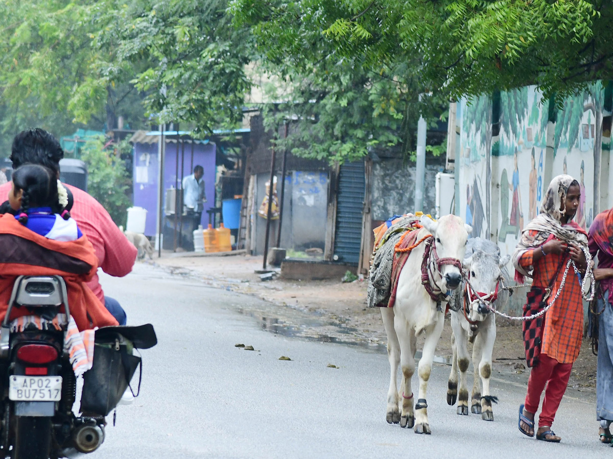 Best Photos of The Week in AP and Telangana Photo Gallery7