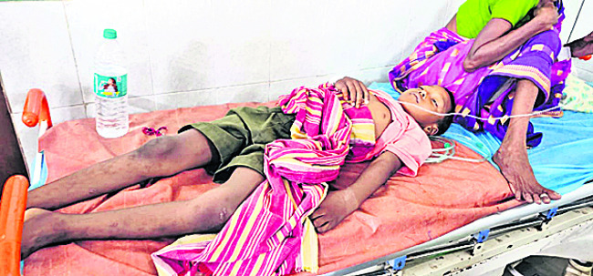 మన్యంపై జ్వరాల పంజా 4