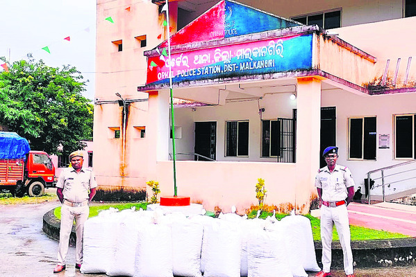 పురిటిగూడలో పత్రికొమ్మల పండుగ 1