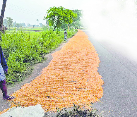 కొనుగోళ్ల జాడేది?1