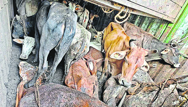 పనులు త్వరగా పూర్తి చేయాలి 1