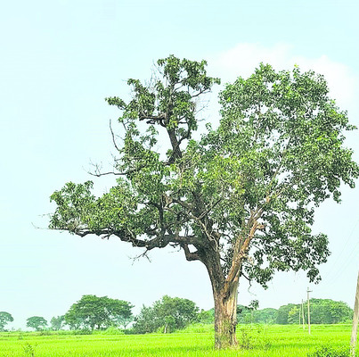జీజీహెచ్లో సదుపాయాలు కల్పించాలి1