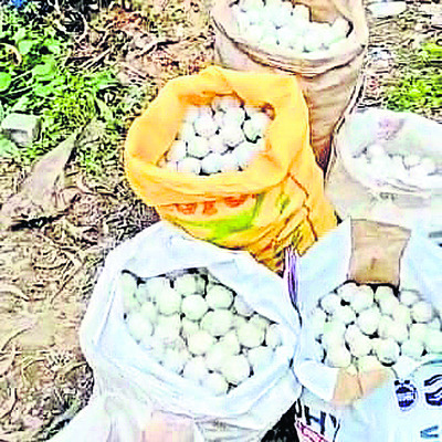 మహిళా డిగ్రీ కళాశాలలో పోషణ వారోత్సవాలు 1