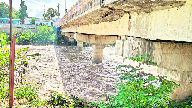 పెరిగిన గార్గేయ ఉధృతి
1