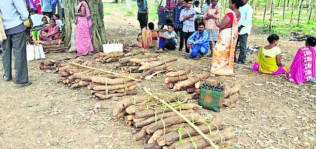 మార్కెట్లో పెండలం1