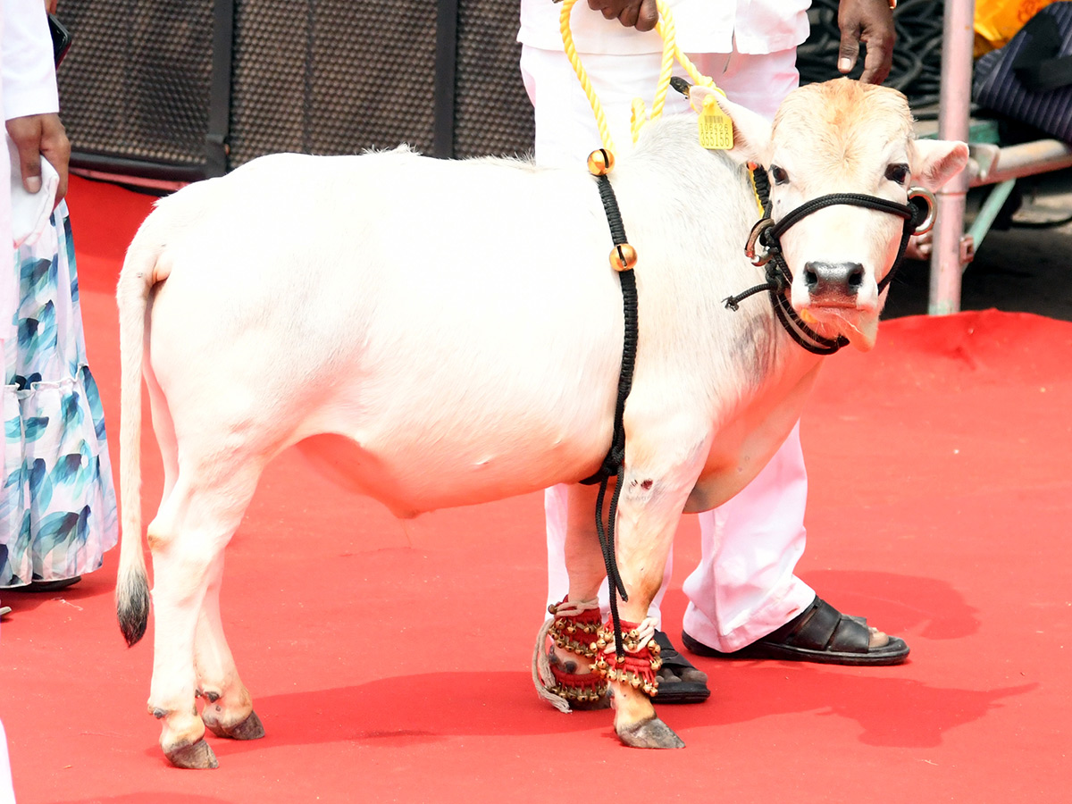 CM Revanth Reddy Inaugurates Sadar Festival at NTR Stadium in Hyderabad4