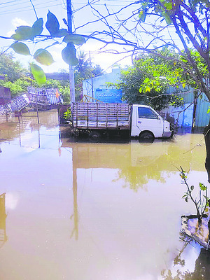 దారీతెన్నూ లేదు!1