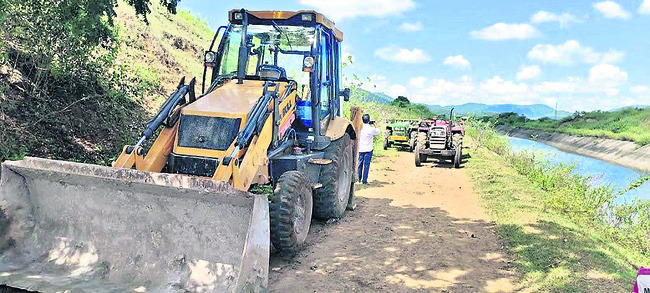 జామాయిల్‌ చెట్ల నరికివేతపై విచారణ1