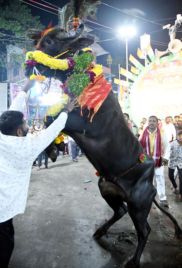 Sadar Festival 2025 Celebrations In Hyderabad Photos2