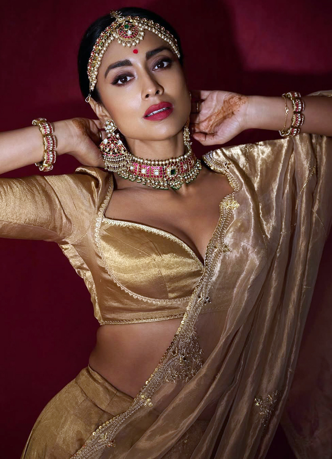 Heroine Shriya's Diwali look is a feast for the eyes! (Photos)14