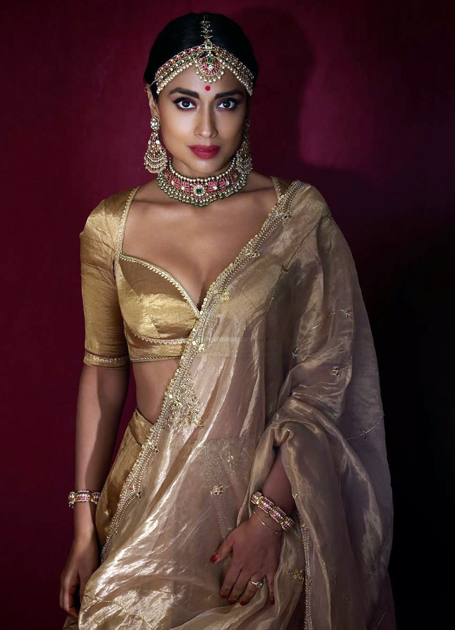 Heroine Shriya's Diwali look is a feast for the eyes! (Photos)10