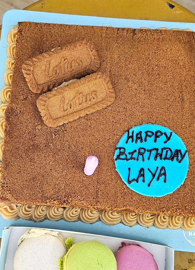 Tollywood Actress Laya Birthday Celebrations Pics Viral16