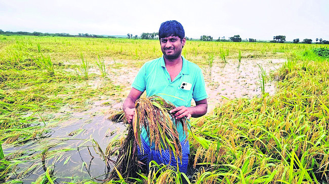 ముంచెత్తిన వాన3