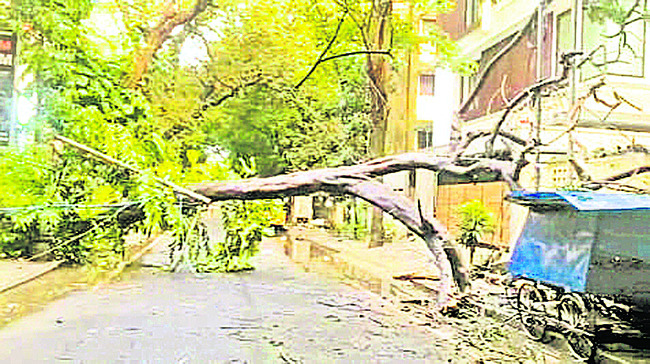 శివారు ప్రాంతాల్లో ఎడతెరిపిలేని వర్షం 5