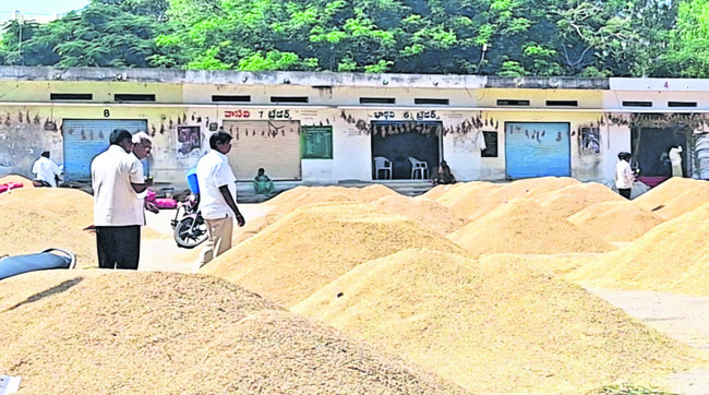 డీపీఓగా నిఖిలశ్రీ
2