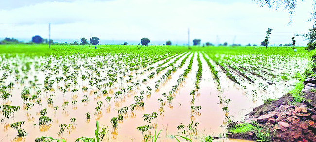 ముంచెత్తిన వాన 3