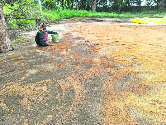 అన్నదాత ఆగమాగం1