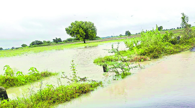 ముంచెత్తిన వాన 6